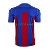 Maillot de Supporter Crystal Palace Domicile 2020-21 Pour Homme